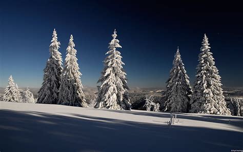 HD wallpaper: Germany landscape-Windows 10 system HD wallpaper 0.., snow, winter | Wallpaper Flare