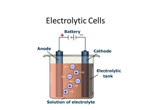 Electrolytic Cell | 388 plays | Quizizz