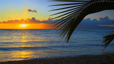 🔥 [30+] Maui Beach Sunset Wallpapers | WallpaperSafari