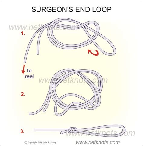 Surgeons End Loop - How to tie a Surgeon's End Loop | Fishing Knots