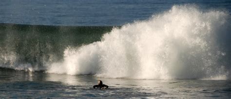 Surfing Newport Beach | Shore Looks Nice