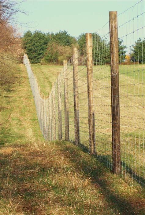 Deer fencing installation – Artofit