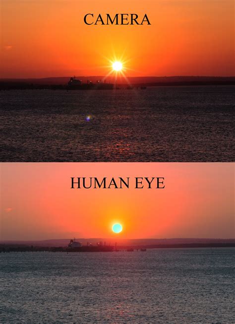 Human Eye vs Camera : r/Damnthatsinteresting