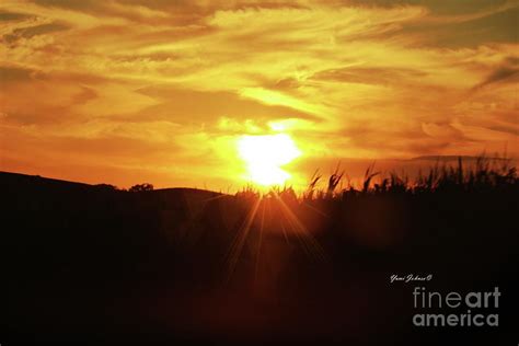 Corn field Sunset Photograph by Yumi Johnson - Pixels