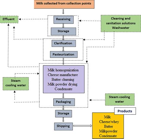 Cow Milk Production Process