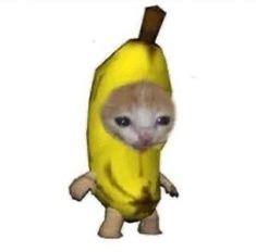 banana cat