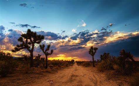 Mojave Desert Wallpapers - Wallpaper Cave