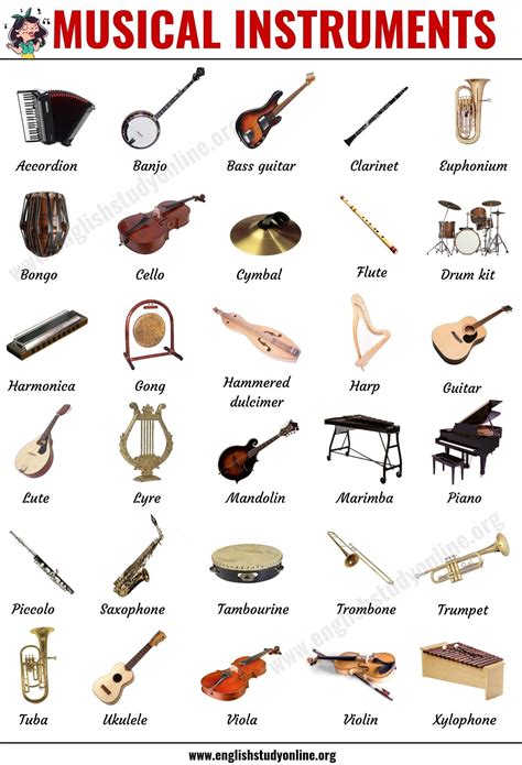 50 Popular Musical Instruments in English