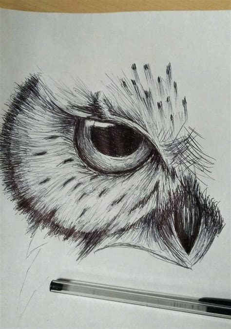 Sketching Ideas For Beginners at PaintingValley.com | Explore collection of Sketching Ideas For ...