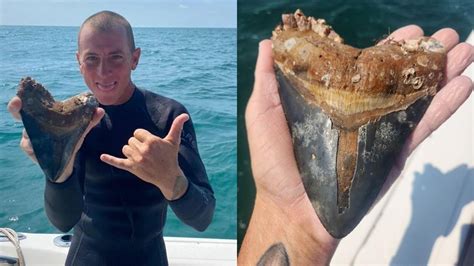 Florida diver finds megalodon tooth off Venice Beach | wtsp.com