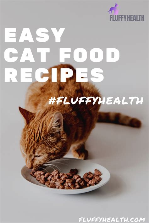 Homemade Easy Cat Food Recipes | Fluffyhealth