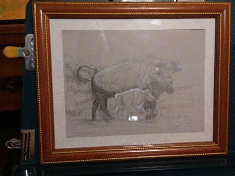 original pencil drawing buffalo framed | #4617112210