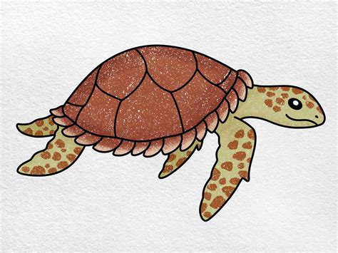 Hawksbill Turtle Drawing - HelloArtsy