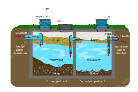 Diagram Of A Septic Tank And Drain Field System Vector, Septic Tank, Scheme, Water PNG and ...