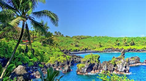 tropical water, Tropical forest, Hawaii, Isle of Maui, Maui, Palm trees, Beach, Waterfall ...