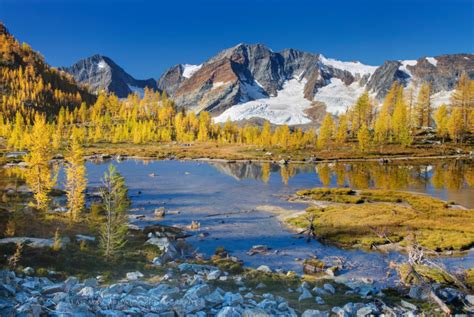 Monica Meadows Purcell Mountains British Columbia - Alan Majchrowicz Photography