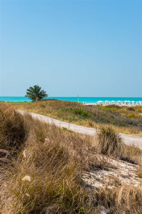 Saadiyat Public Beach, Saadiyat Island, Abu Dhabi, UAE Editorial Image - Image of nature ...