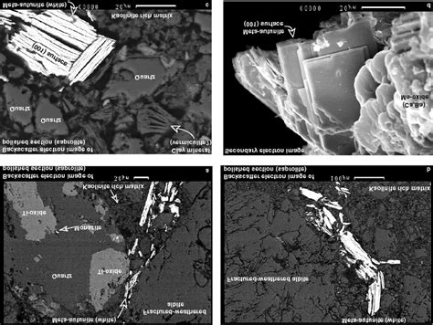 Electron images of U(VI) phosphate from the saturated saprolite zone:... | Download Scientific ...