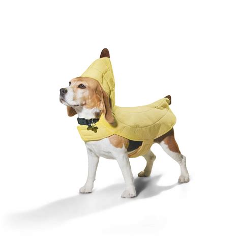 Cat Banana Costume | canoeracing.org.uk