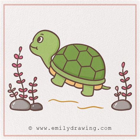 How to Draw a Turtle – Emily Drawing