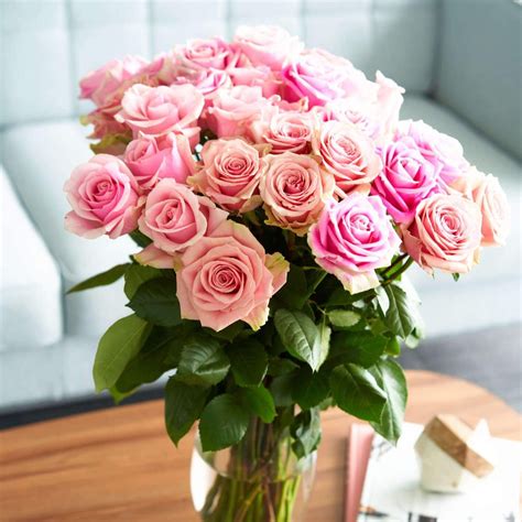 Buy Pink Bi-Color Eyecatcher Roses – Rose Farmers