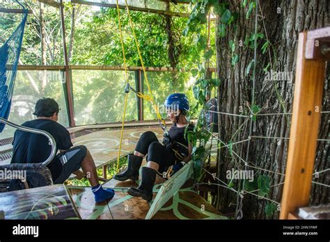 Jungle treehouse, Manzanillo, Costa Rica Stock Photo - Alamy