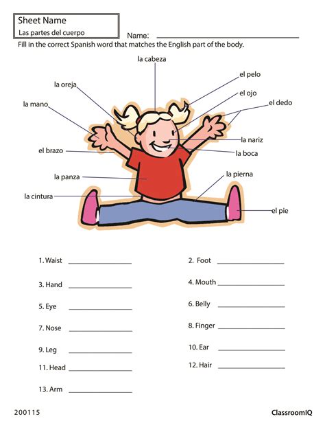 Body Parts Spanish Worksheet