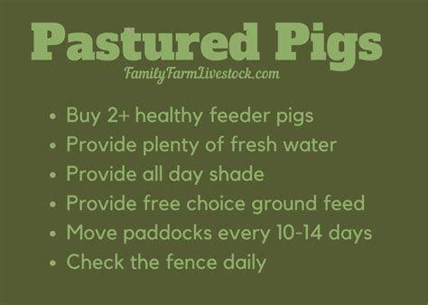 How To Take Care Of Pastured Pigs – Family Farm Livestock