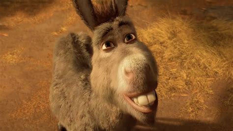 Donkey And Shrek