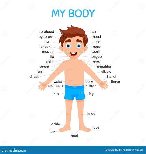 My Body Poster For Kids