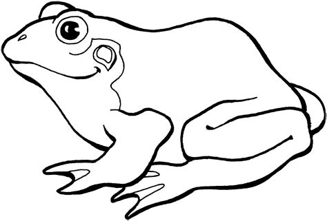 Frog black and white frog clipart black and white 3 - WikiClipArt