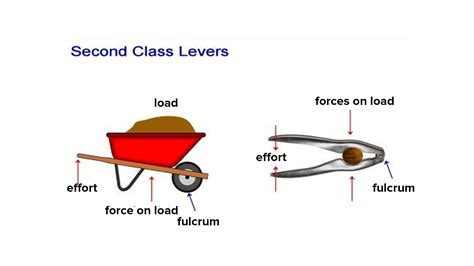 State the characteristics of class II lever and give two examples.