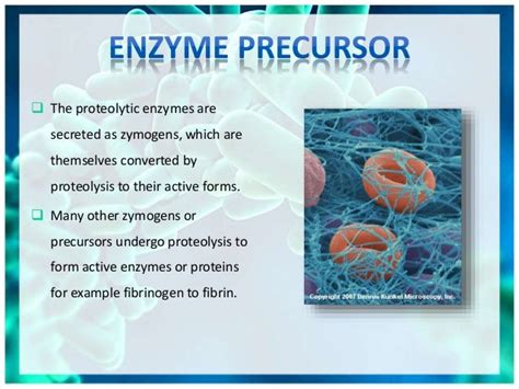 Proteolysis