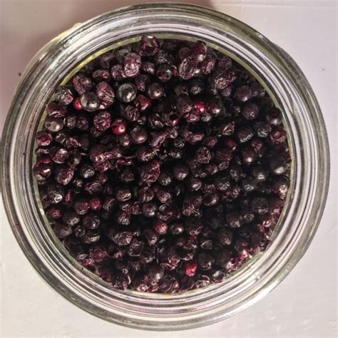 Bulk Freeze Dried ElderBerries | Midwest Elderberry Cooperative