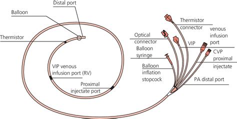 Pa Catheter Diagram