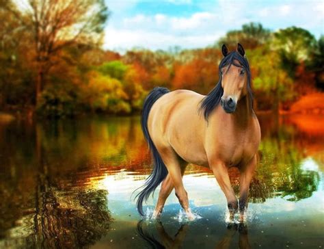 horse wallpaper hd | ... HD wallpapers desktop horse free and make this HD wallpapers desktop ...