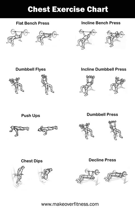 Chest Exercise Chart - Free Printable Gym Workout Routines - Free Printable