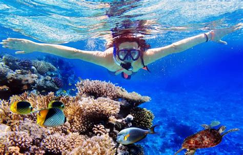 Snorkeling Trips – Sky Red Sea