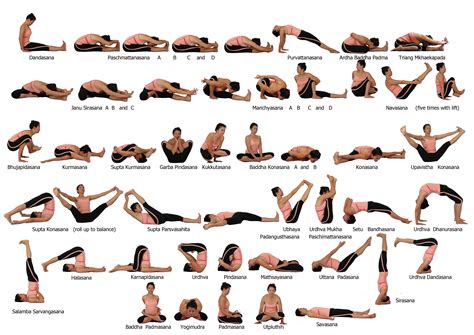 Advanced Yoga Poses Chart