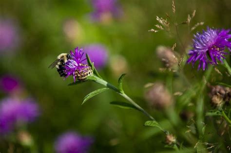 Interested In Eco-Friendly Gardening? Here's What You Should Know : r/EcoFriendly