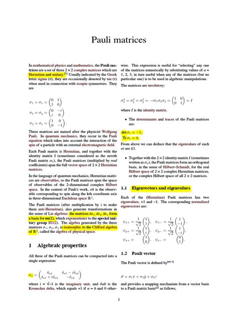 Pauli Matrices | Spin (Physics) | Linear Algebra