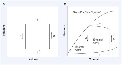 Pressure–volume diagrams in thermodynamics (steam engine) and in... | Download Scientific Diagram