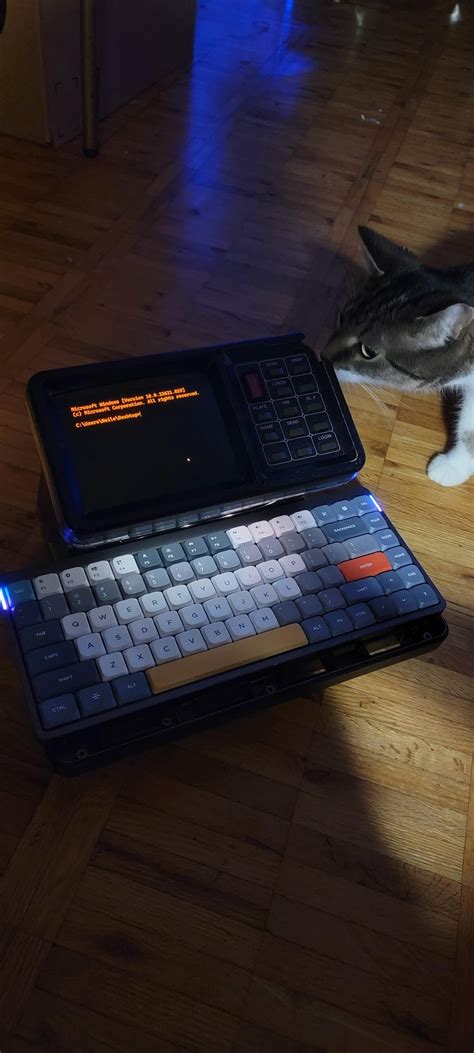 Vintage computer repair gorl : r/Catswithjobs