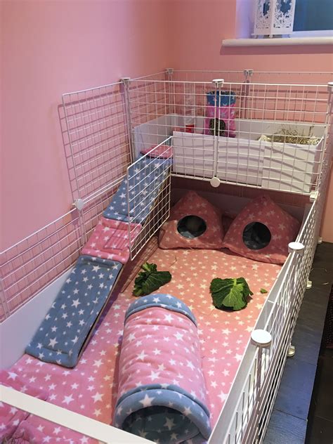 Fleece C&C Guinea Pig cage set up | Guinea pig toys, Pet guinea pigs, Guinea pig bedding