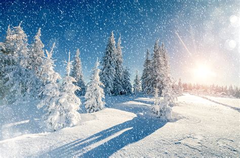 Winter Trees Snow Season Wallpaper, HD Nature 4K Wallpapers, Images and Background - Wallpapers Den