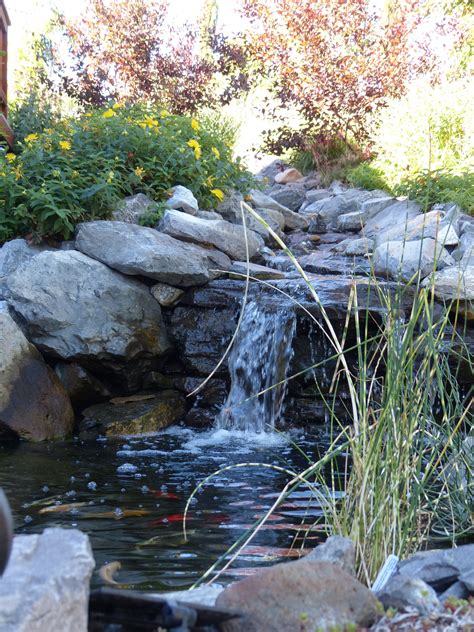 Lower koi pond | Water features in the garden, Pond water features, Koi pond