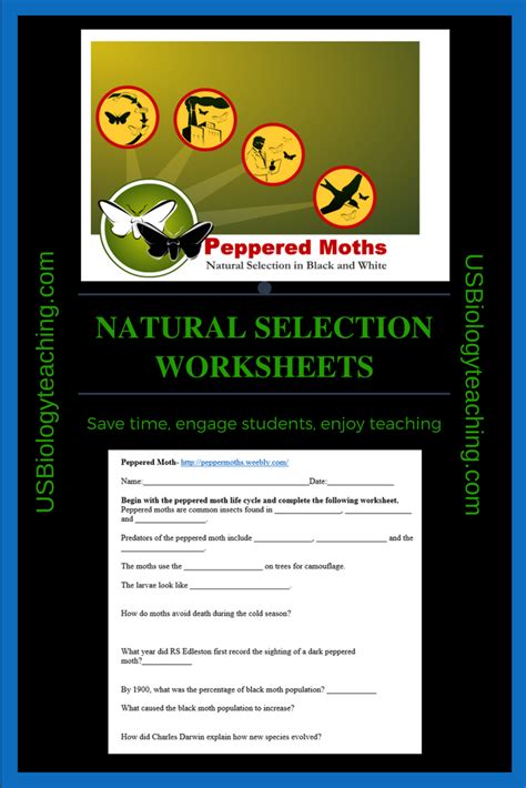 Evolution And Natural Selection Worksheet – Englishworksheet.my.id