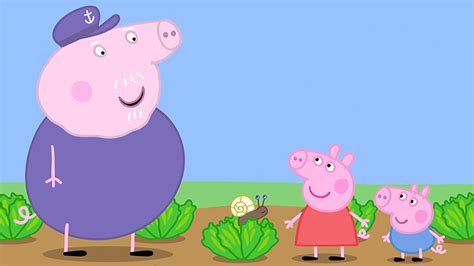 Watch Peppa Pig Season 2 Episode 5: Peppa Pig - Tiny Creatures/Daddy Pigs Office/Pirate Island ...