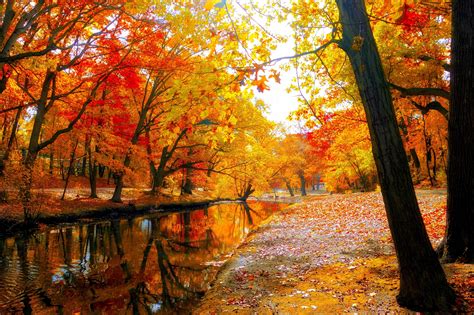 AUTUMN fall landscape nature tree forest leaf leaves wallpaper | 4864x3241 | 837966 | WallpaperUP