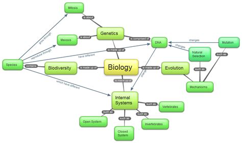 Biology Concept Map - Shehzaad's Biology (SBI3U-E) E-Portfolio